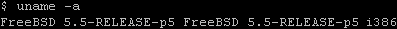 Finding the version on FreeBSD